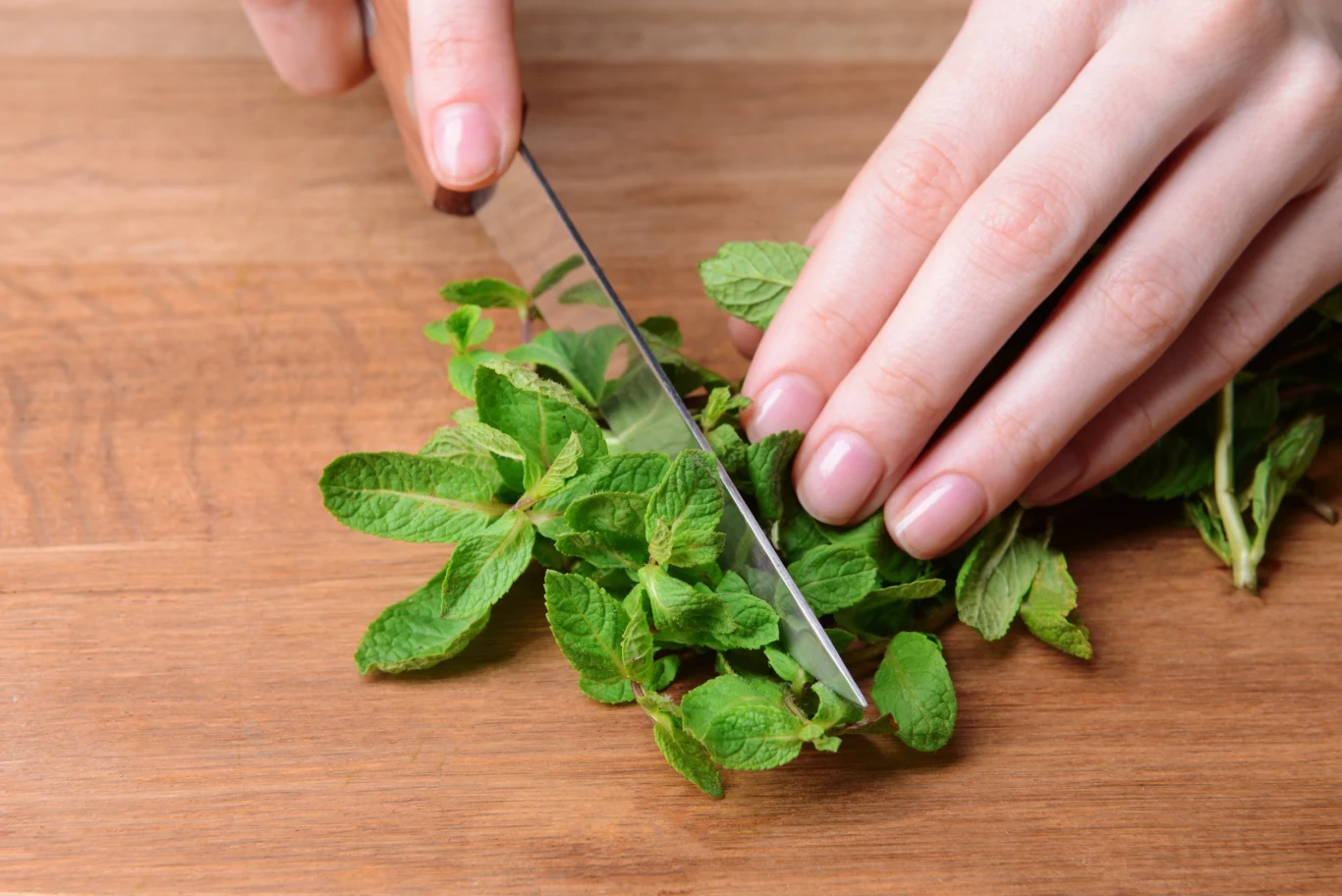 Zioła sprawiają, że potrawy są pełne smaku i aromatu