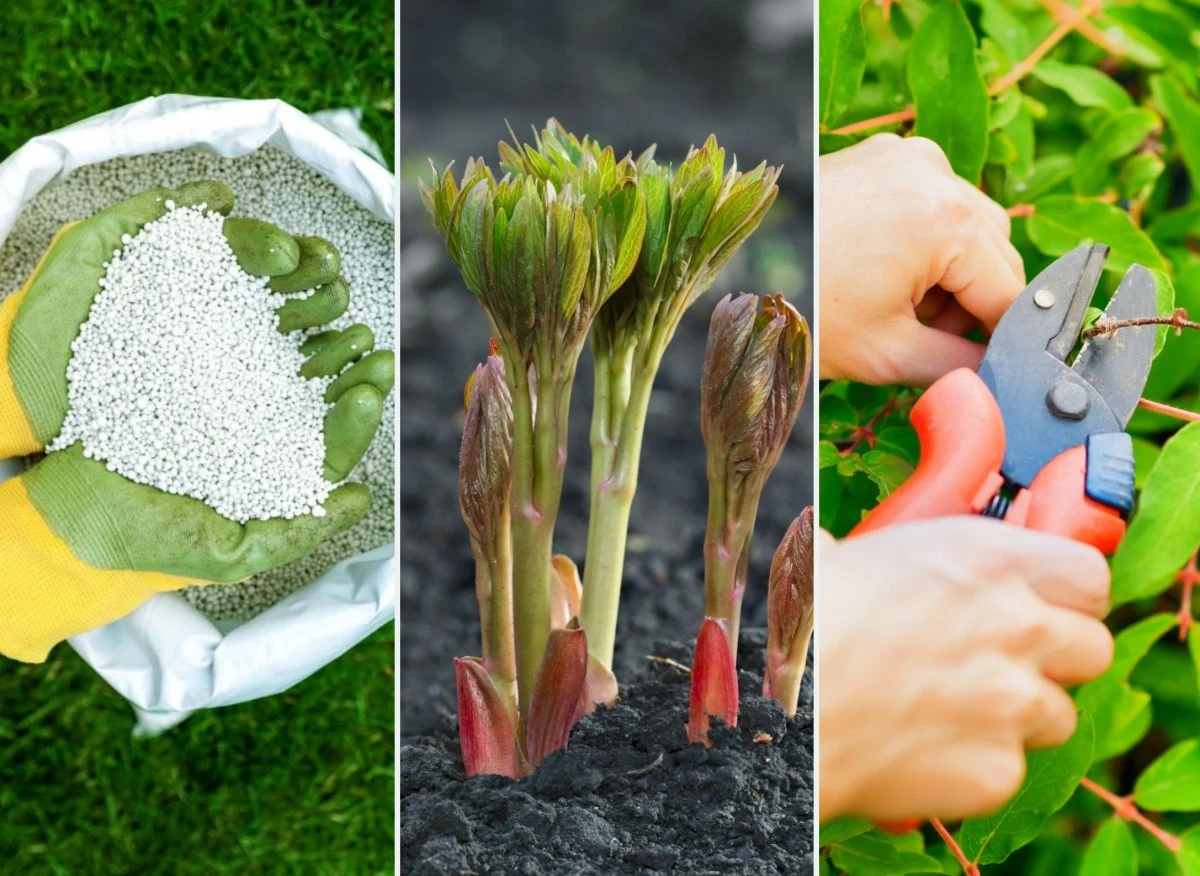 Jakie prace należy wykonać w ciągu najbliższych tygodni