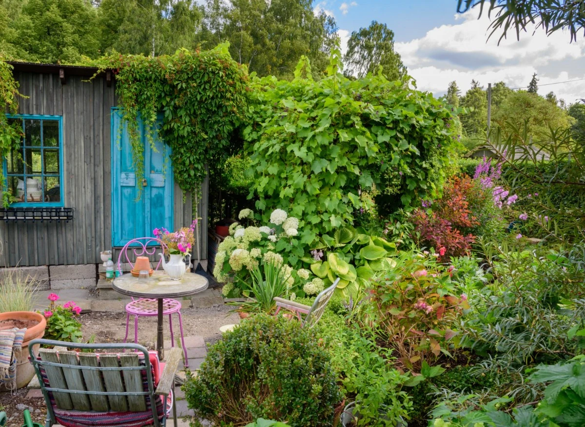 Prowadzenie działki w ROD to popularne zajęcie