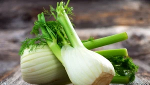 Fenkuł to inaczej koperł włoski, albo koper słodki.