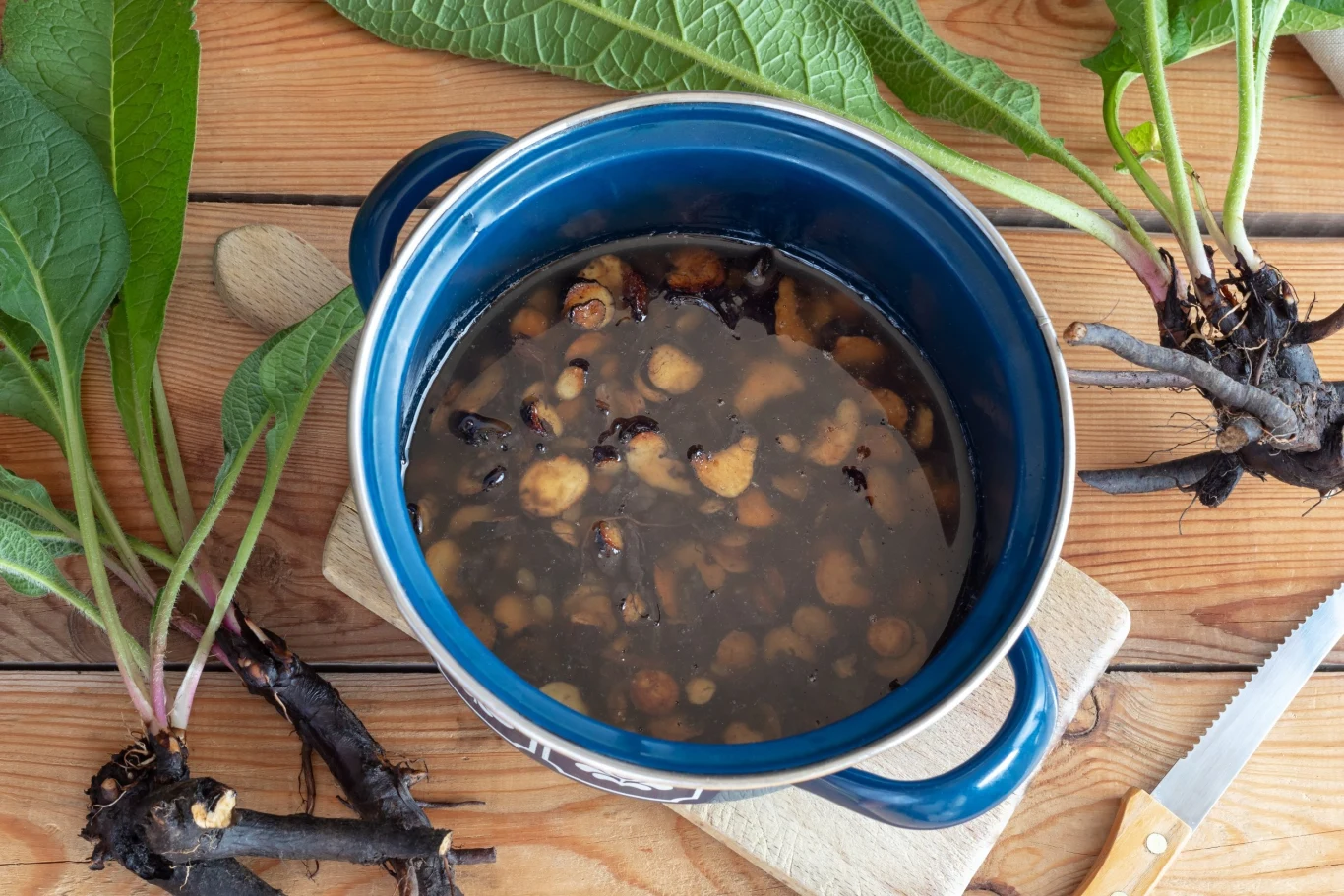 Gnojówkę z żywokostu przygotowuje się zalewając roślinę odpowiednią ilością wody