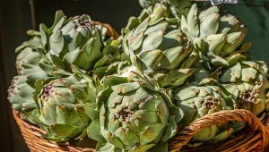 Karczochy to bardzo cenione i zdrowe warzywa.