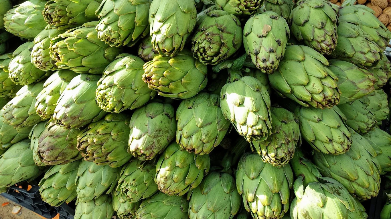 Karczochy posiadają wiele właściwości zdrowotnych