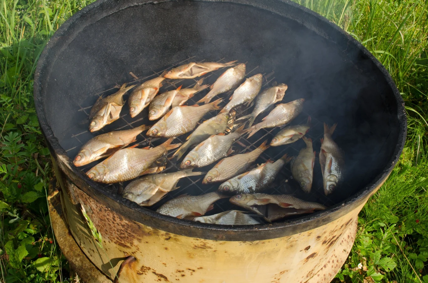 Palenisko powinno znajdować się z dala od budynków oraz łatwopalnych traw, krzewów oraz drzew