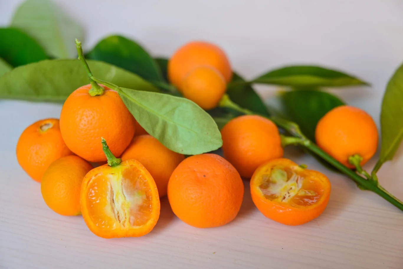 Kalamondyna posiada kwaśny miąższ i słodką skórkę