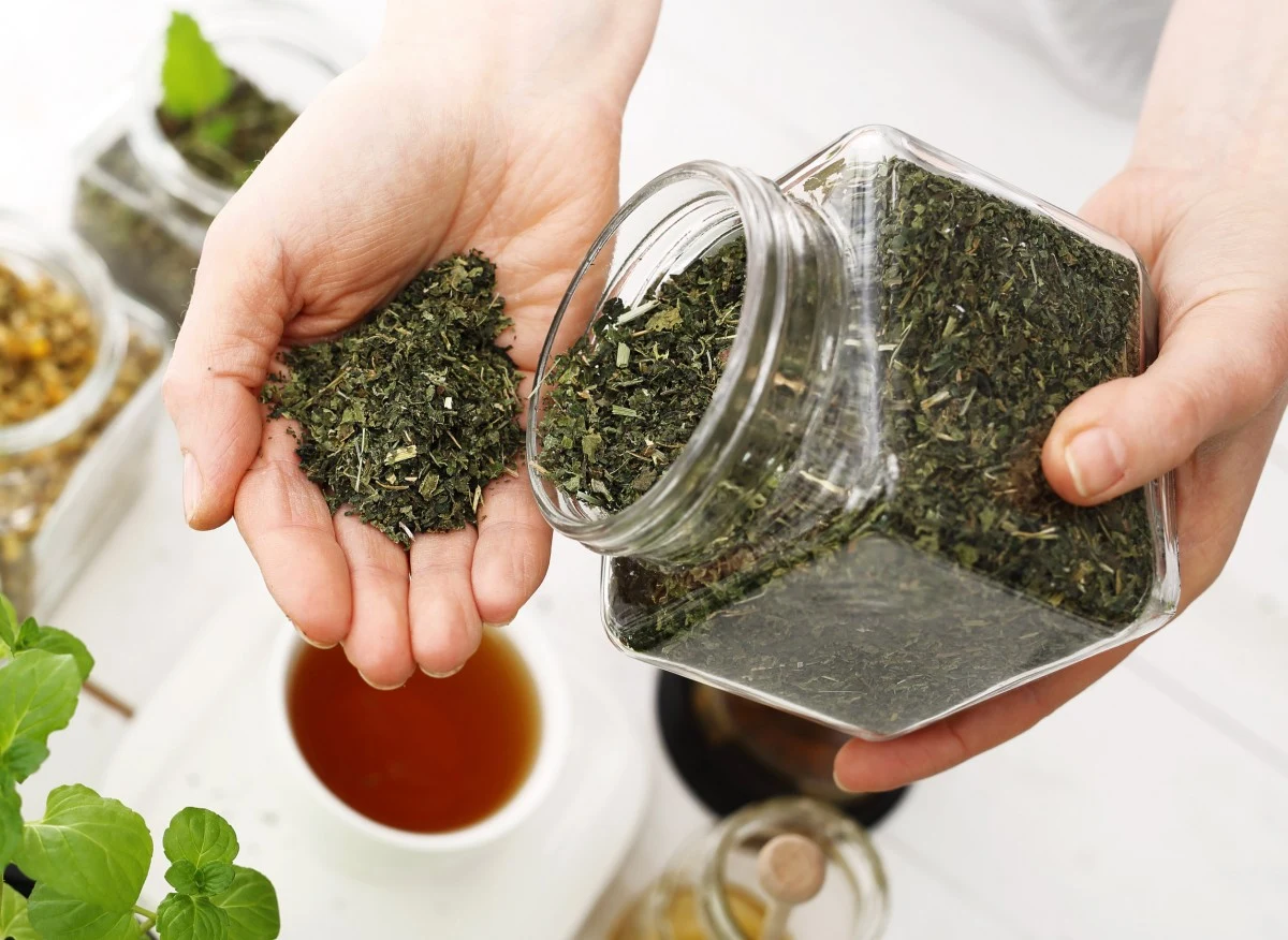 Po te zioła warto sięgnąć podczas przeziębienia