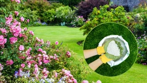 Saletra wapniowa – zastosowanie, właściwości, porady. Jak działa?