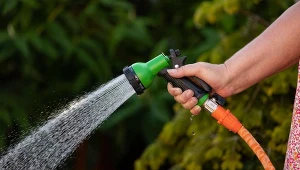 Podlewanie ogrodu latem to niby prosta sprawa, jednak często popełniamy przy tym błędy.