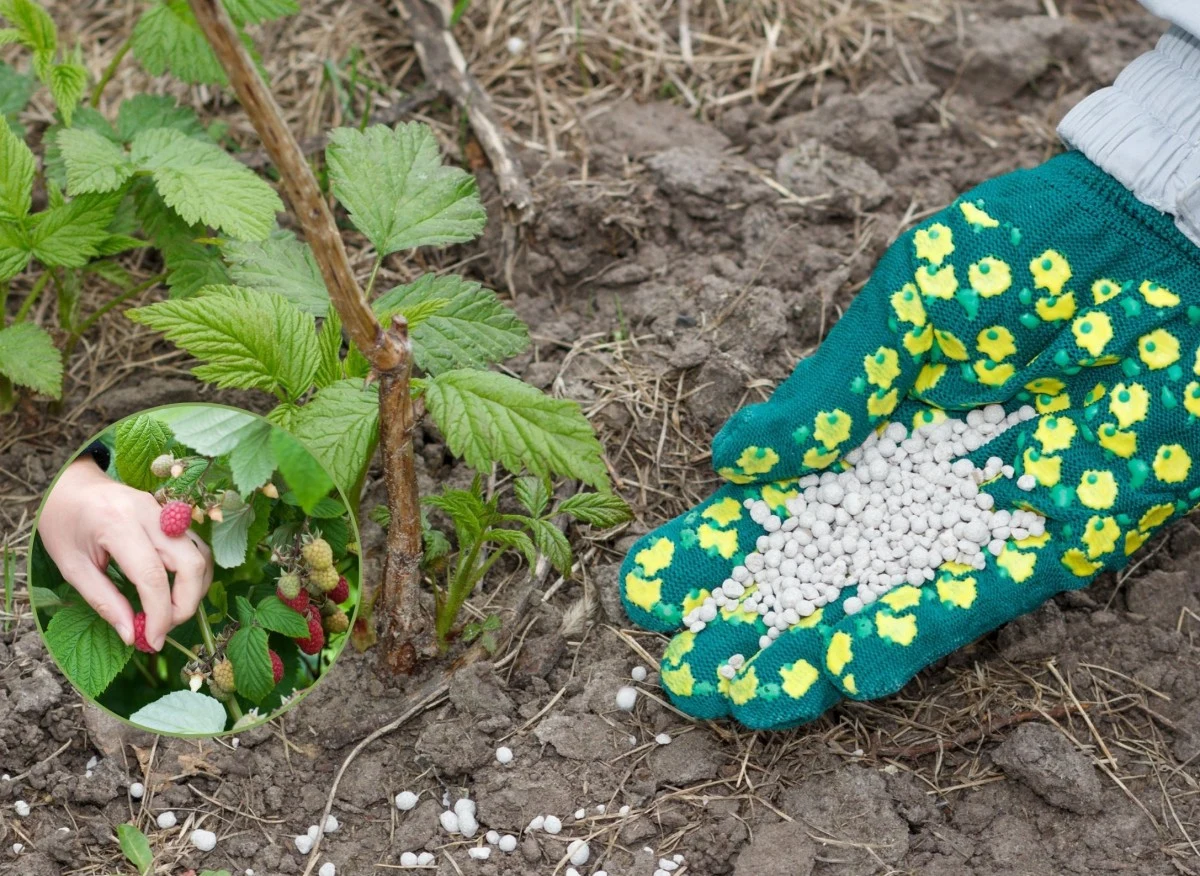 Odrobina determinacji i cierpliwości wystarczy, by cieszyć się obfitymi plonami