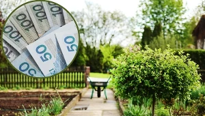 Jest niewielu chętnych, a można zdobyć 100 tys. zł. Oto wszystko o dotacjach dla działkowców