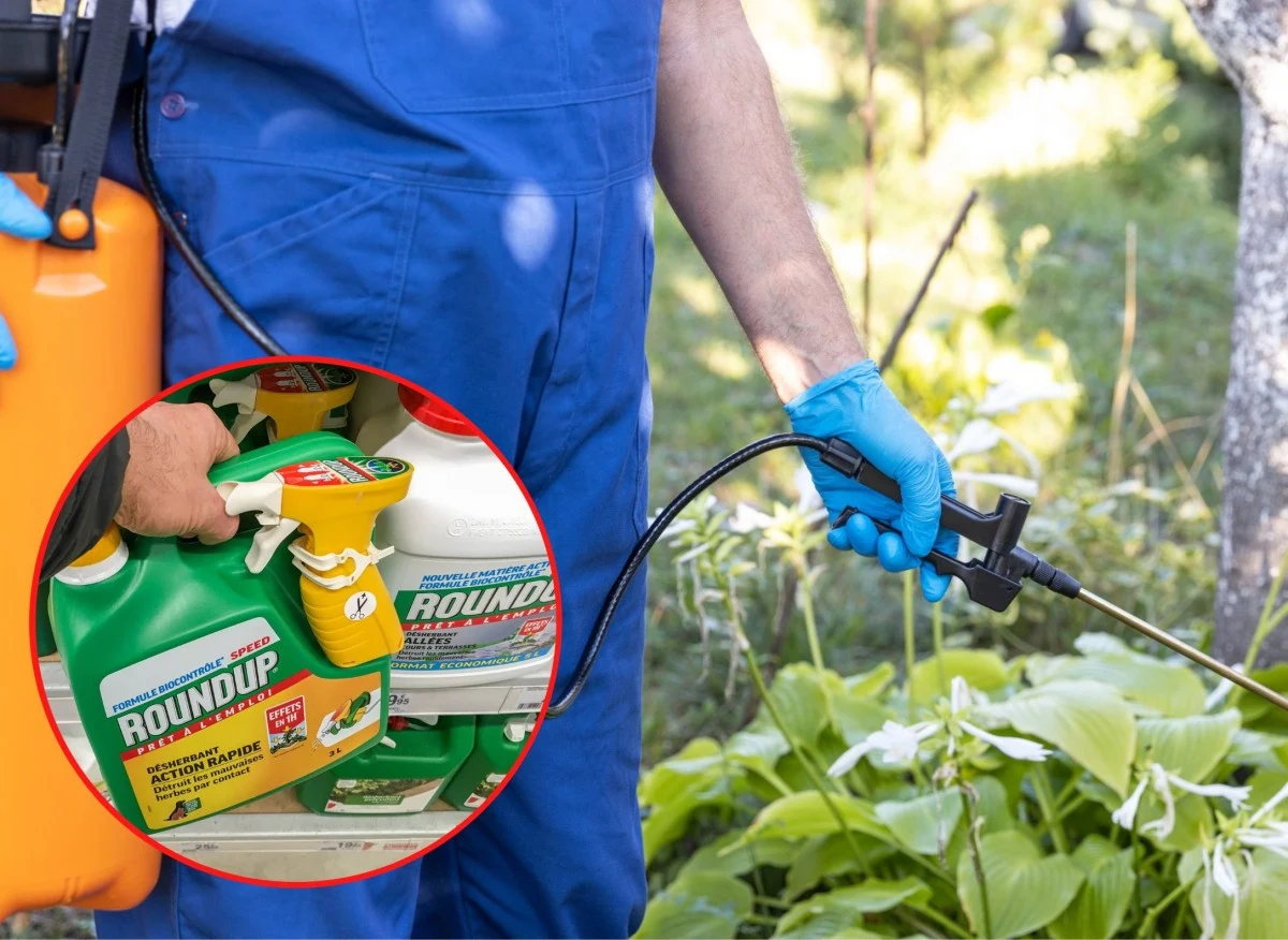 Glifosat stał się bardzo powszechny ze względu na jego szerokie spektrum zastosowań