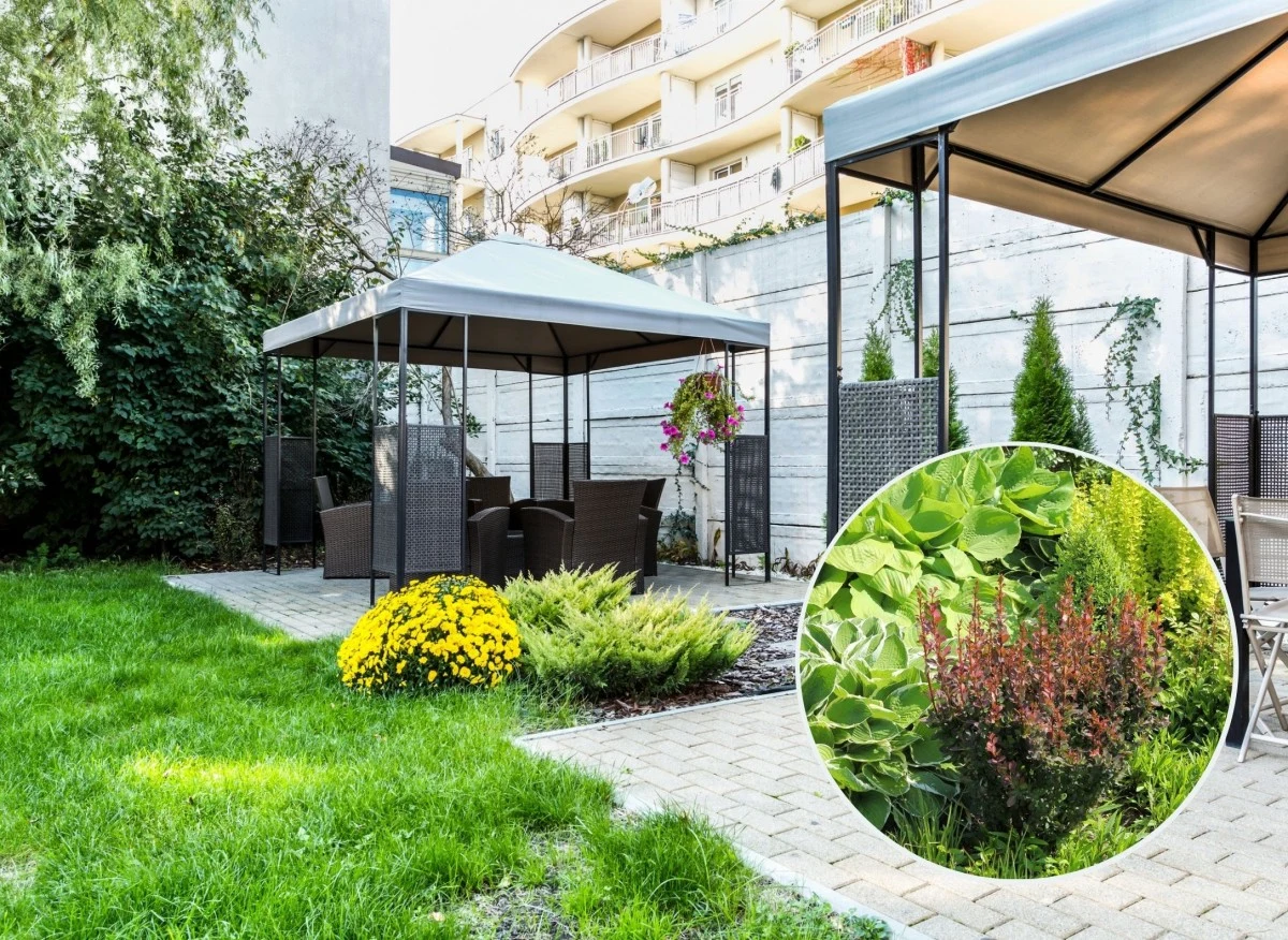 Jednym ze sposobów, by zniwelować uciążliwe i negatywne skutki hałasu, są rośliny