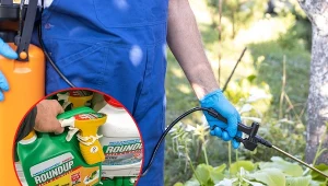 Glifosat stał się bardzo powszechny ze względu na jego szerokie spektrum zastosowań.