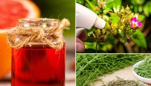 Wyjaśniamy dlaczego warto stosować środki grzybobójcze naturalnego pochodzenia. Fot.123RF.coc