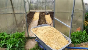 Zrębki i trociny mają wiele zastosowań w ogrodzie.