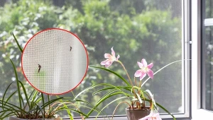 Moskitiera to coraz popularniejszy element wyposażenia mieszkania.