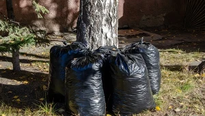 Jak zrobić kompost w workach?