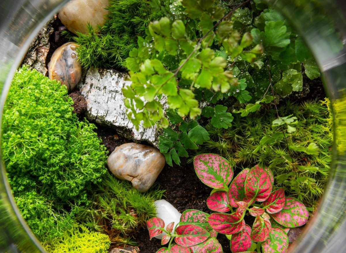 Oto 10 roślinnych idealnych do uprawie w szklanym słoju