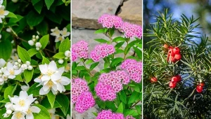 Mały ogród może robić równie duże wrażenie co jego pokaźniejsi „koledzy”.