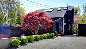 Stworzenie solitera w swoim ogrodzie to doskonały pomysł.