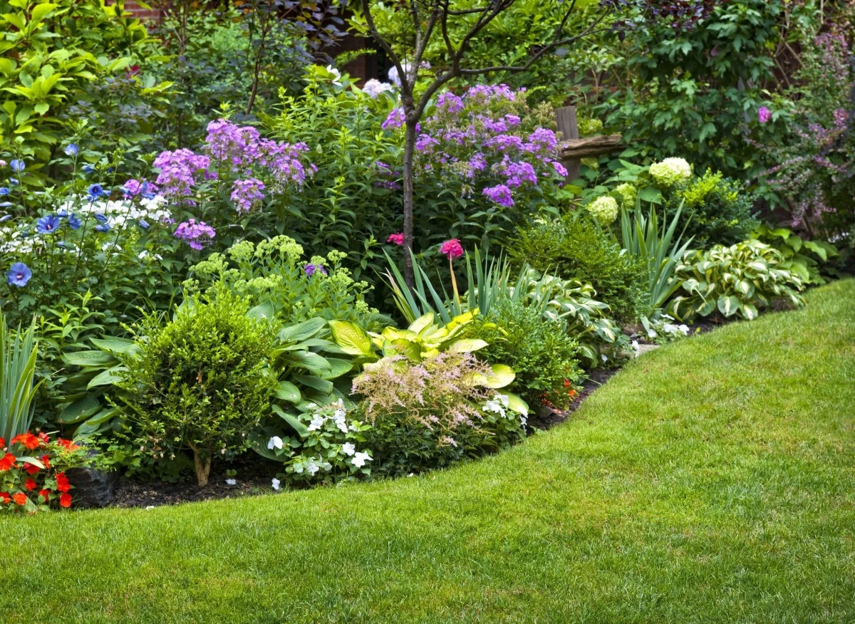 Piękny i zadbany ogród jest wizytówką domu