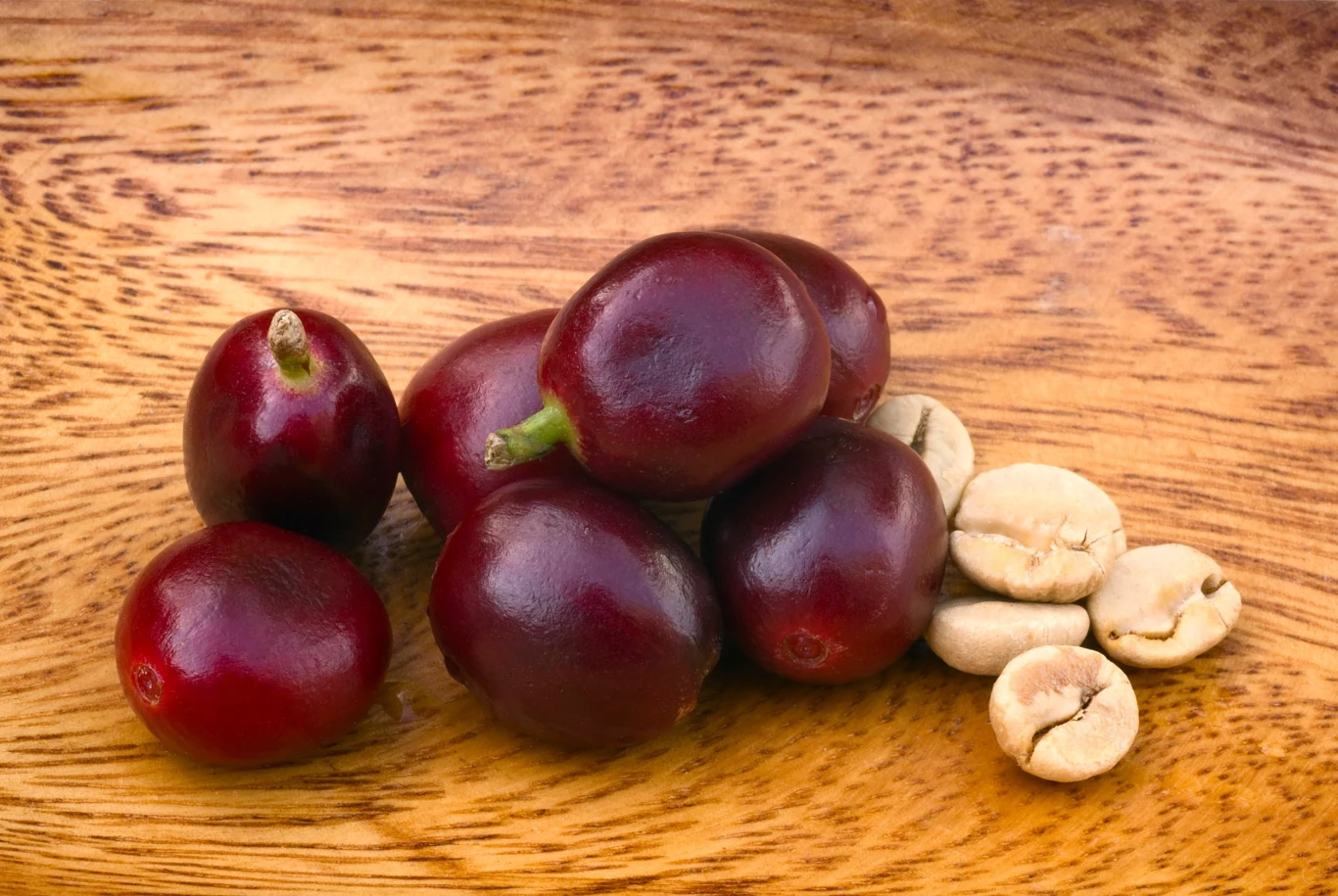 Na pierwsze owoce na naszym drzewku będziemy musieli poczekać kilka lat