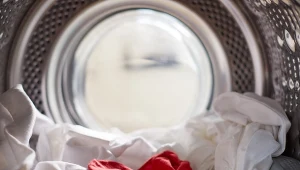 Ubrania zafarbowane na czerwono szybko uratujesz sokiem z cytryny.