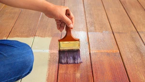 fot. materiały partnera