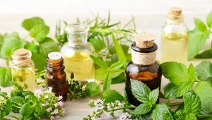 Najpopularniejsze esencje zapachowe to: olejek kamforowy, olejek z geranium, olejek z drzewa herbacianego