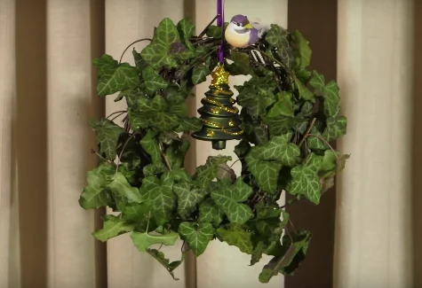 Autor: Ogrod_Na_Co_Dzien