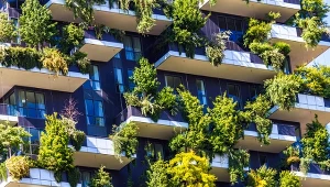 W niektórych miastach za zazielenienie budynku przysługują ulgi i zwolnienia z podatku od nieruchomości.