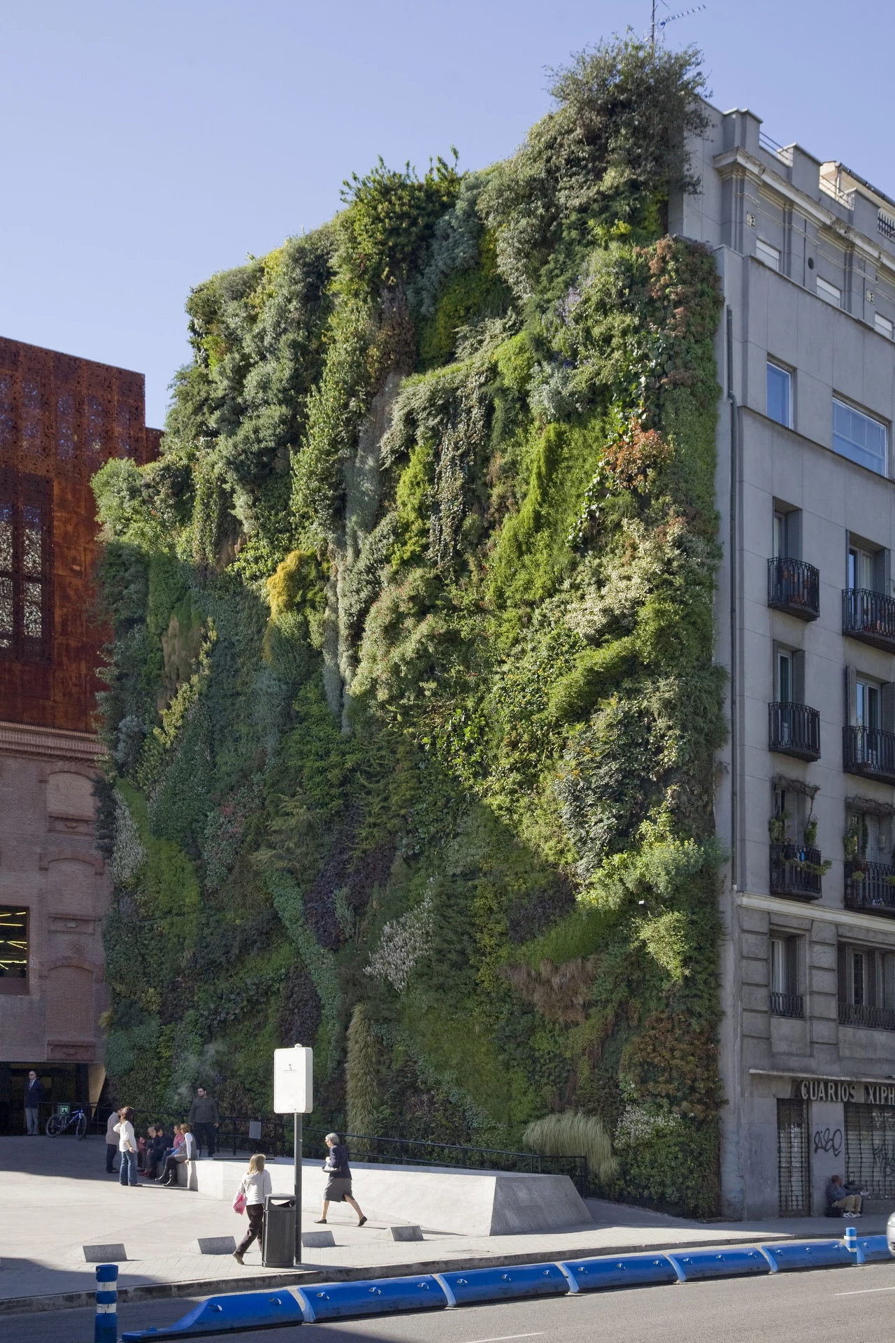 Ze zwolnienia z podatku od nieruchomości za zazielenienie budynku mogą skorzystać mieszkańcy oraz przedsiębiorcy