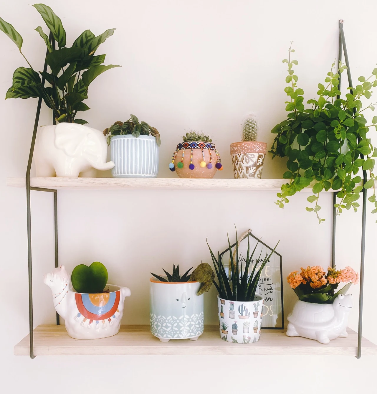 Kwietnik ścienny to najlepsze rozwiązanie do małych wnętrz