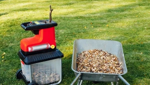 Rozdrabniarka do gałęzi. Na co zwrócić uwagę podczas jej wyboru?