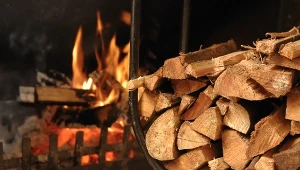 Najlepsze drewno do kominka pochodzi z drzew liściastych.