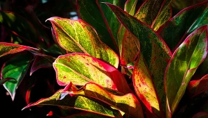 Rośliny doniczkowe mogą stwarzać zagrożenie. Które kwiaty są trujące dla dzieci?