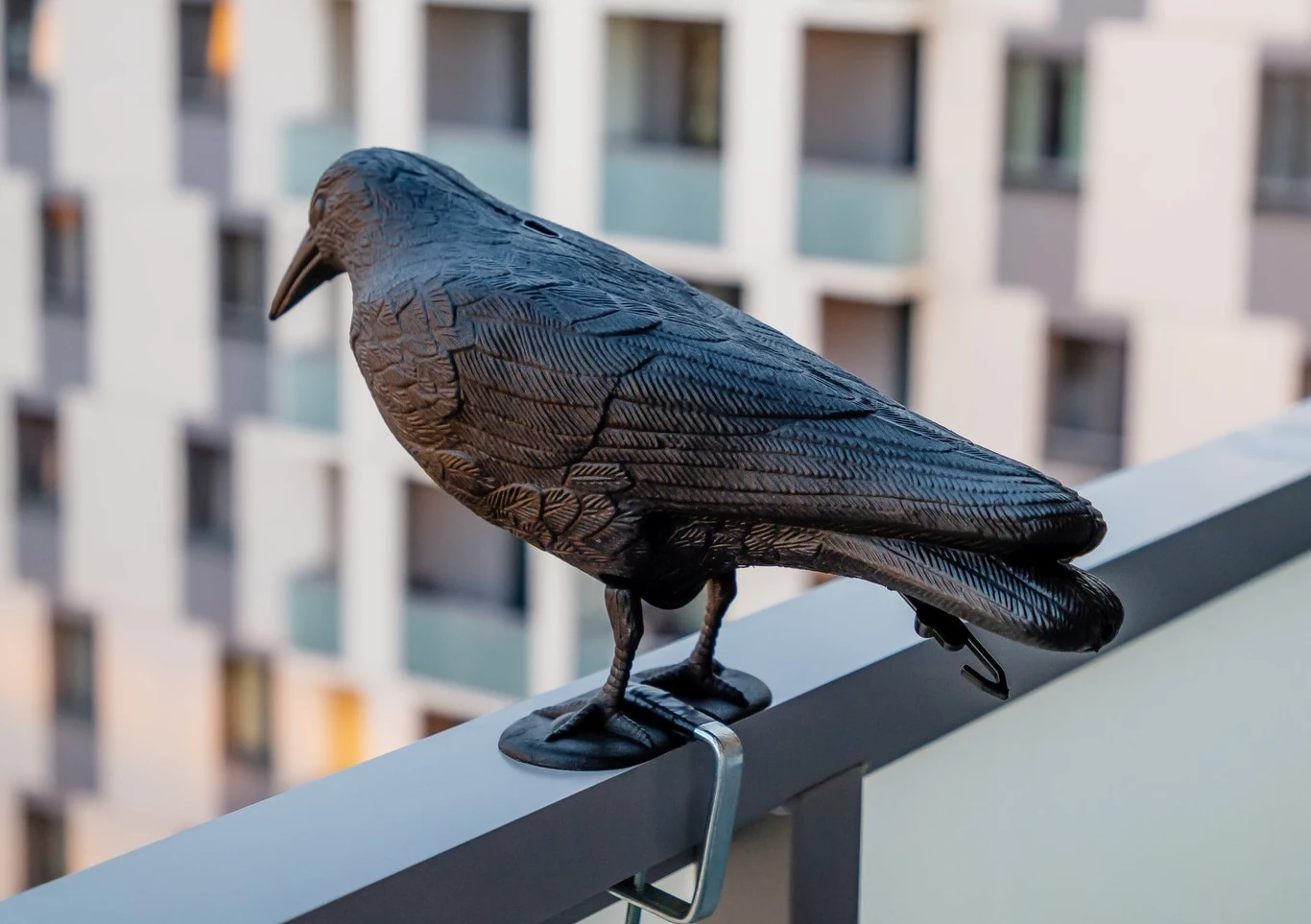 Straszak na gołębie skutecznie odstraszy je od siadania na balkonach