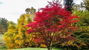 Fot. Klon / 123RF/PICSEL