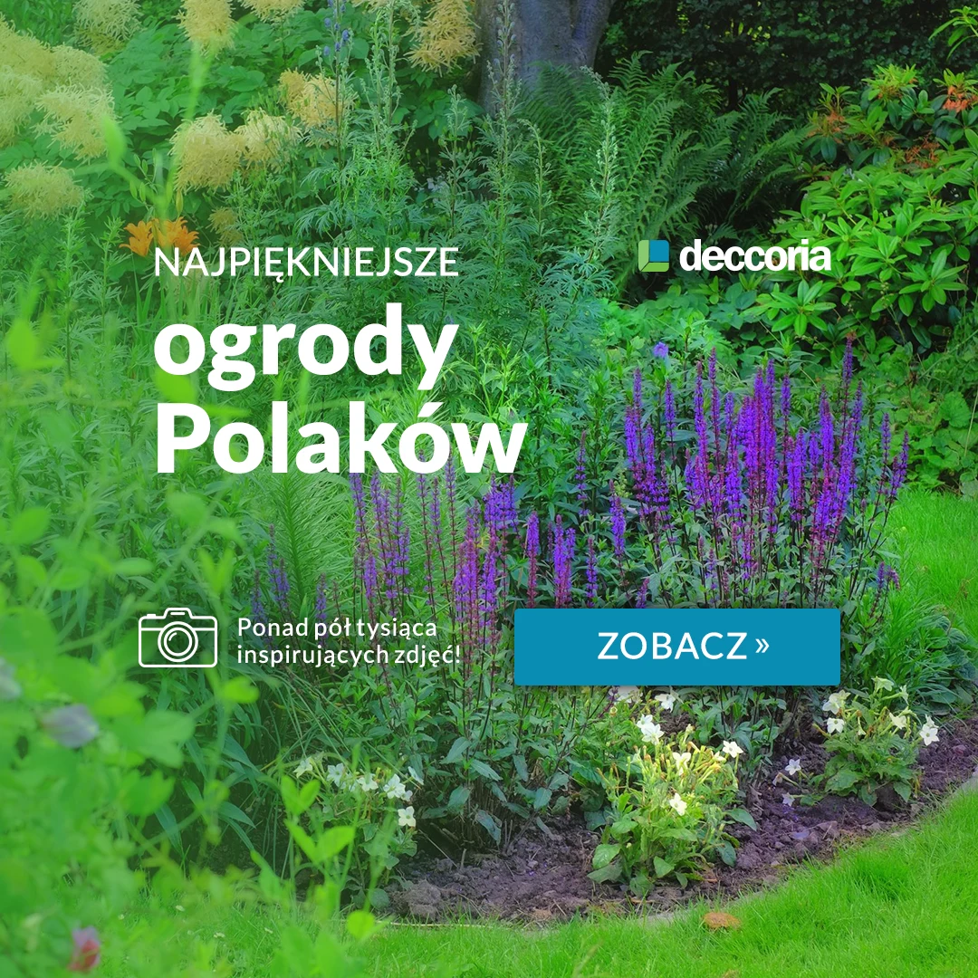https://deccoria.pl/tematy-na-czasie/najpiekniejsze-ogrody-polakow-6