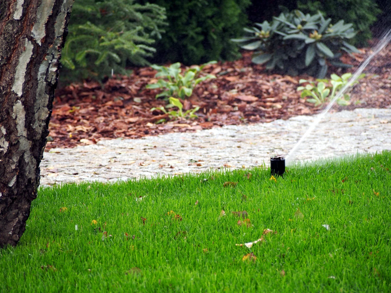 zraszacze w ogrodzie