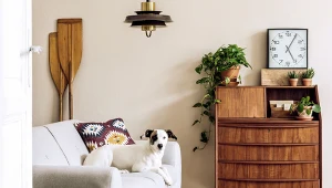 fot. materiały partnera