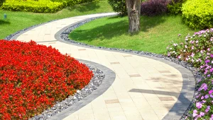 fot. materiały partnera