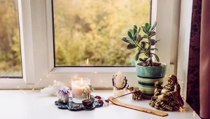 fot. Materiały partnera