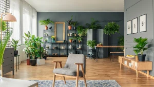 fot. materiały partnera