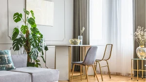 Najpiękniejsze kwiaty domowe