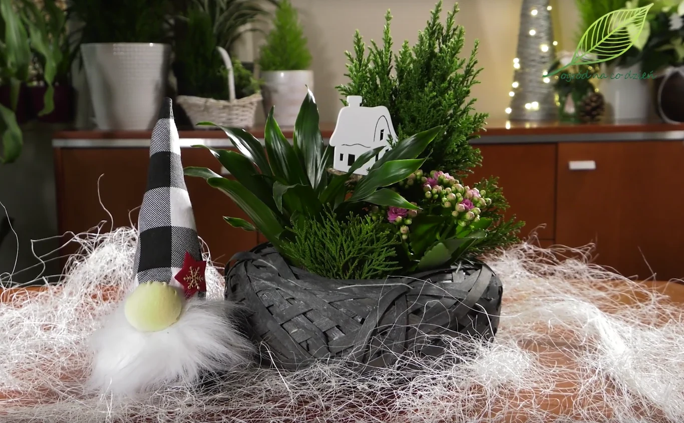 Autor: Ogrod_Na_Co_Dzien