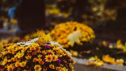 Dzień Zaduszny — kiedy go obchodzimy? Czego warto unikać tego dnia? 