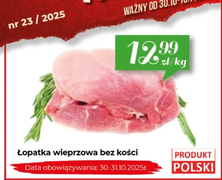 Безкісткова лопатка Data