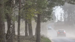 IMGW ostrzega przed wiatrem (zdj. ilustracyjne)