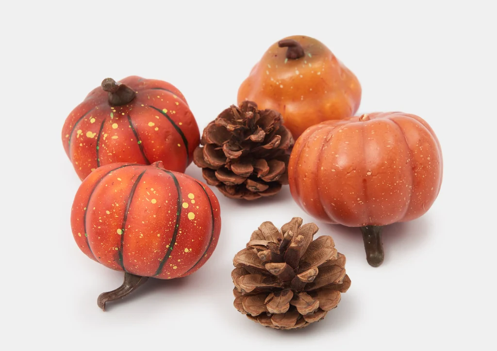 Kilka szyszek otoczonych przez ozdobne dynie i gruszkę o żywych, jesiennych barwach na białym tle.
